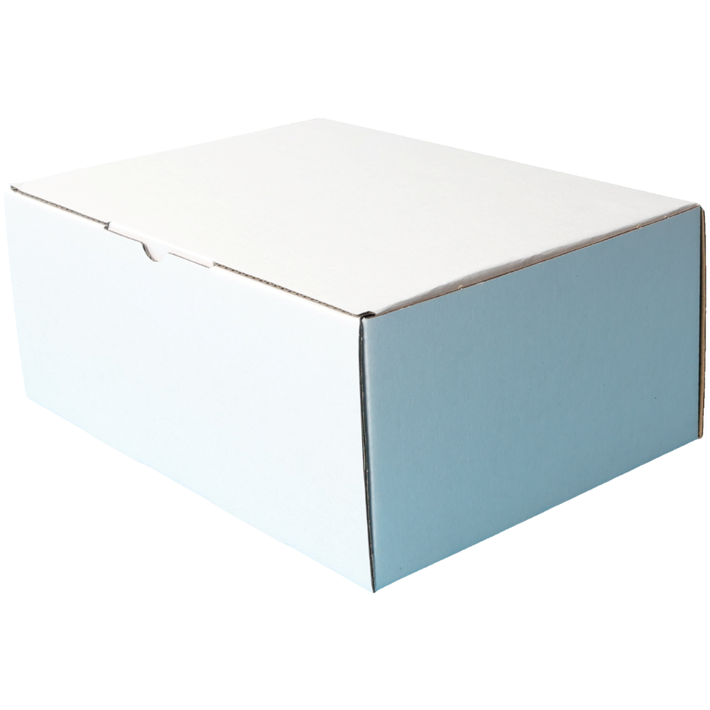 220 x 160 x 90mm A5 Die cut White Mailing Box B90