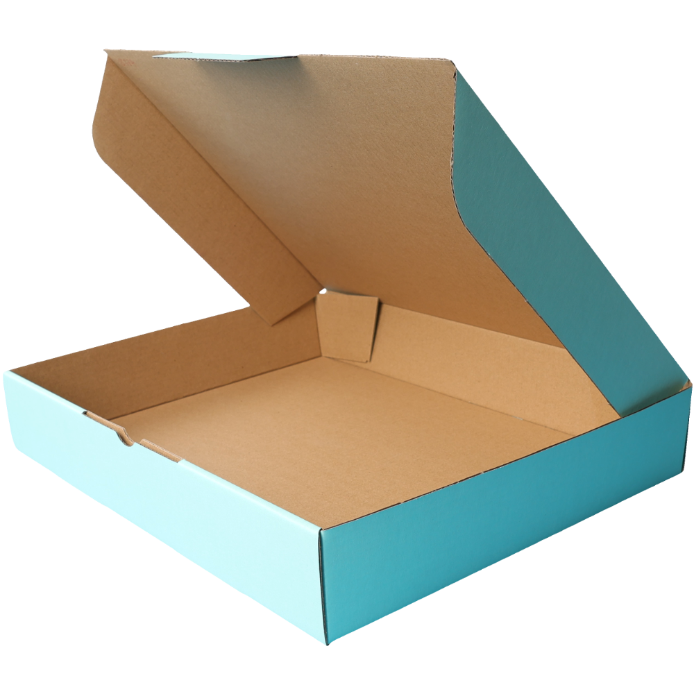 310 x 250 x 50mm Die cut Mint Blue Mailing Box B384