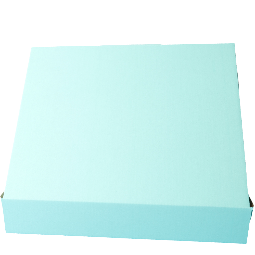 310 x 250 x 50mm Die cut Mint Blue Mailing Box B384