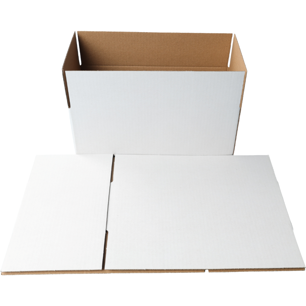 220 x 110 x 80mm Regular White Mailing Box B50