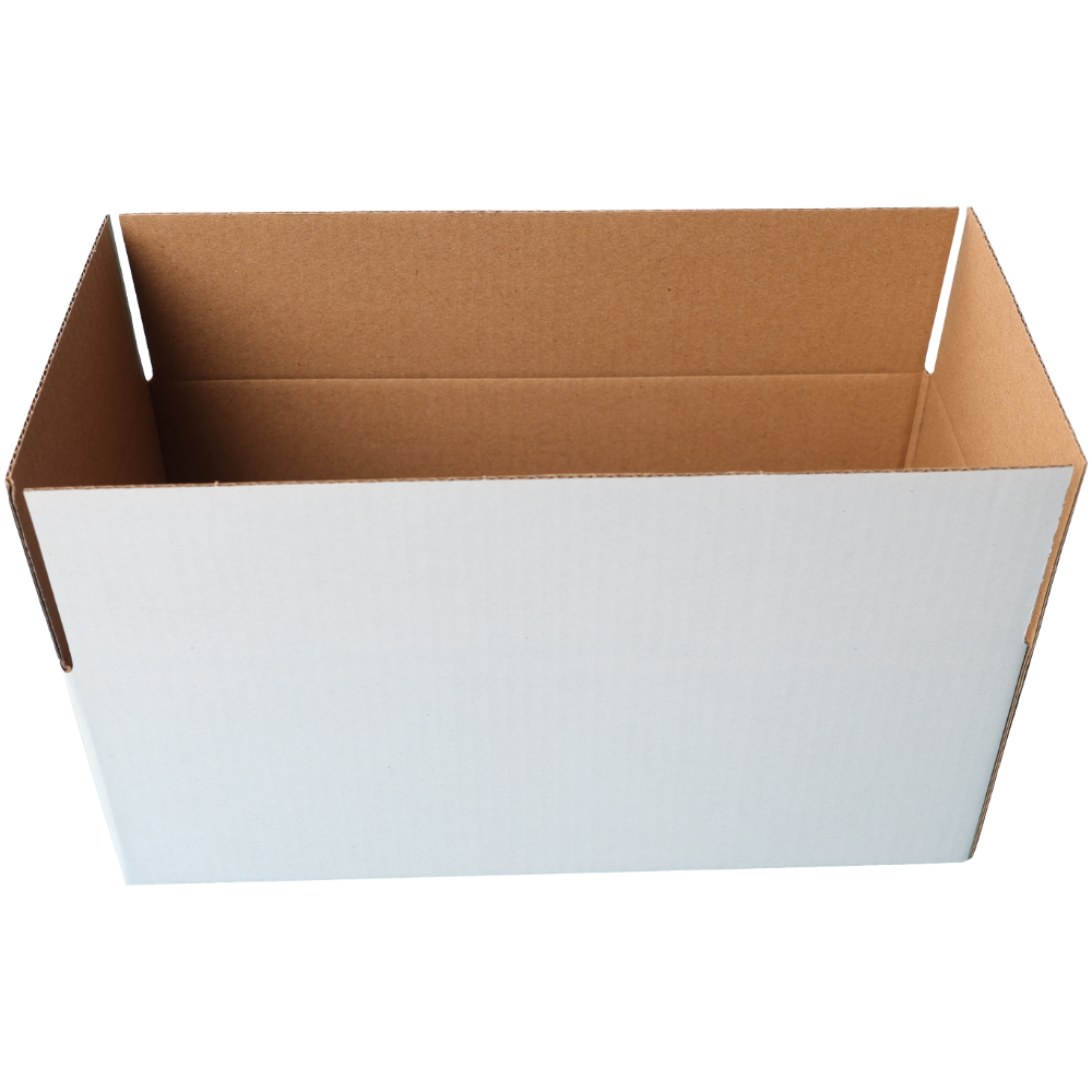 220 x 110 x 80mm Regular White Mailing Box B50