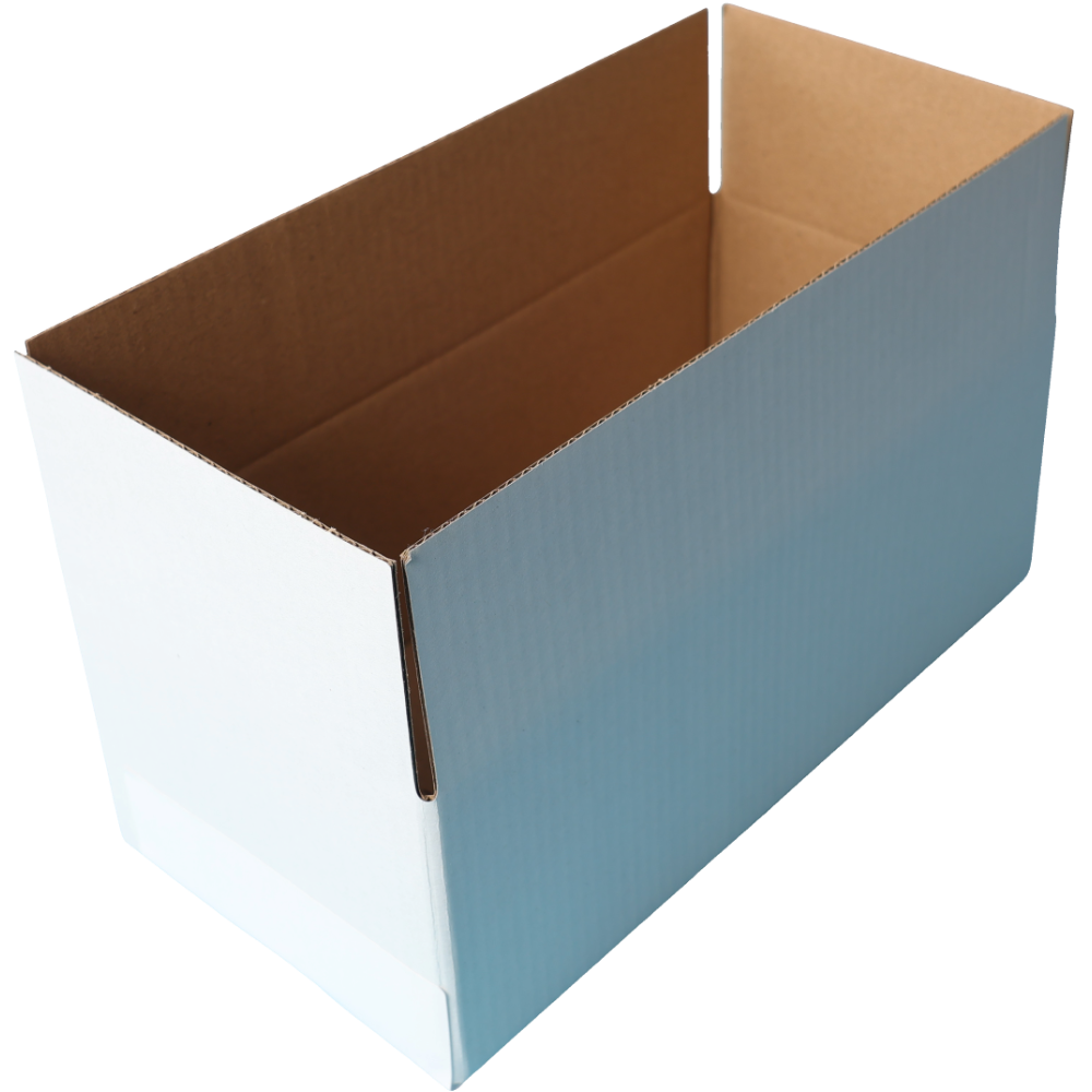 220 x 110 x 80mm Regular White Mailing Box B50