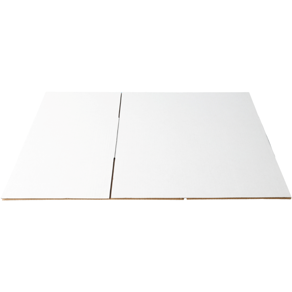 270 x 160 x 100mm Regular Carton White Mailing Box B111