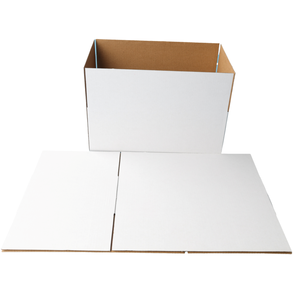 270 x 160 x 100mm Regular Carton White Mailing Box B111