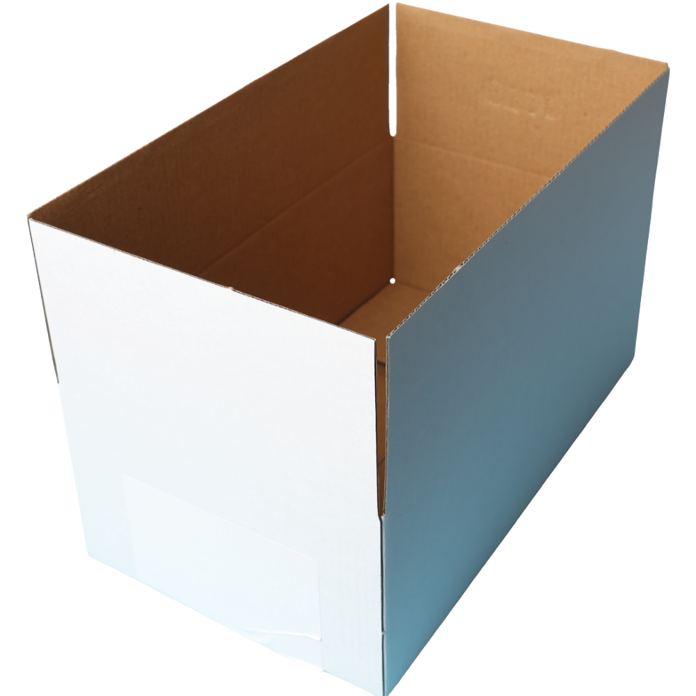 270 x 160 x 100mm Regular Carton White Mailing Box B111