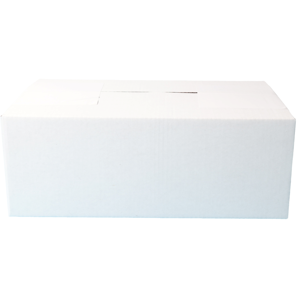 270 x 160 x 100mm Regular Carton White Mailing Box B111
