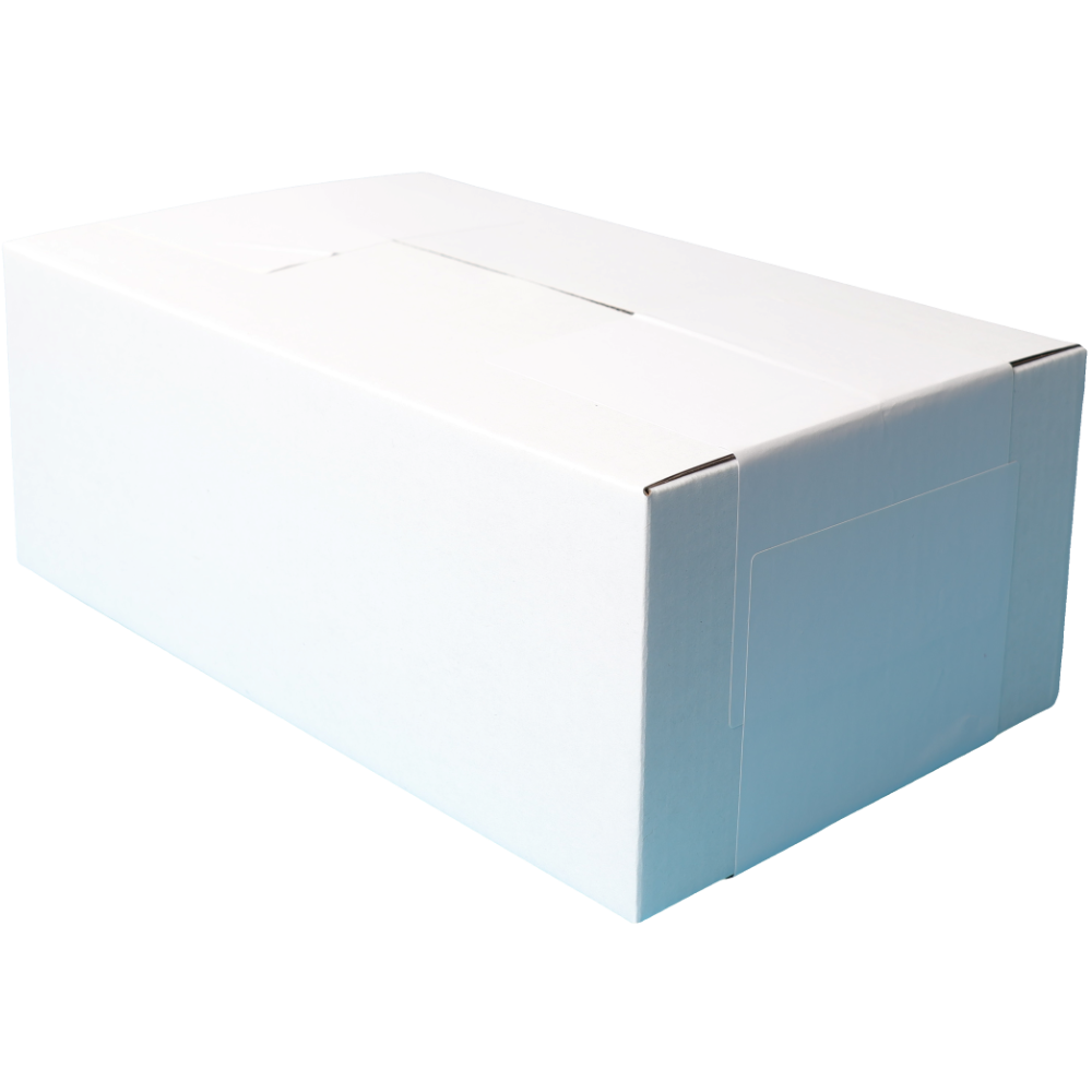 270 x 160 x 100mm Regular Carton White Mailing Box B111