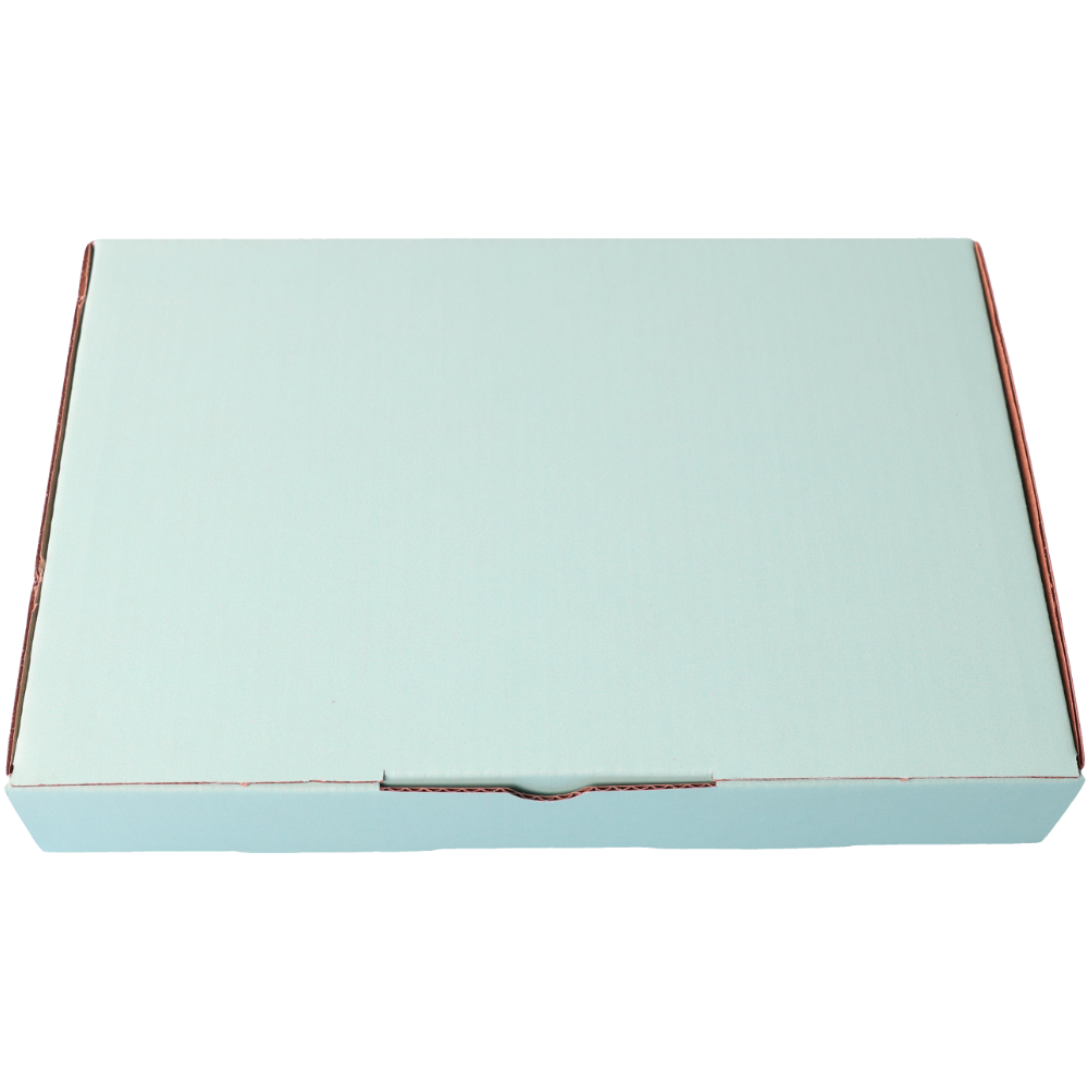 220 x 145 x 35mm Die cut Mint Blue Mailing Box B332