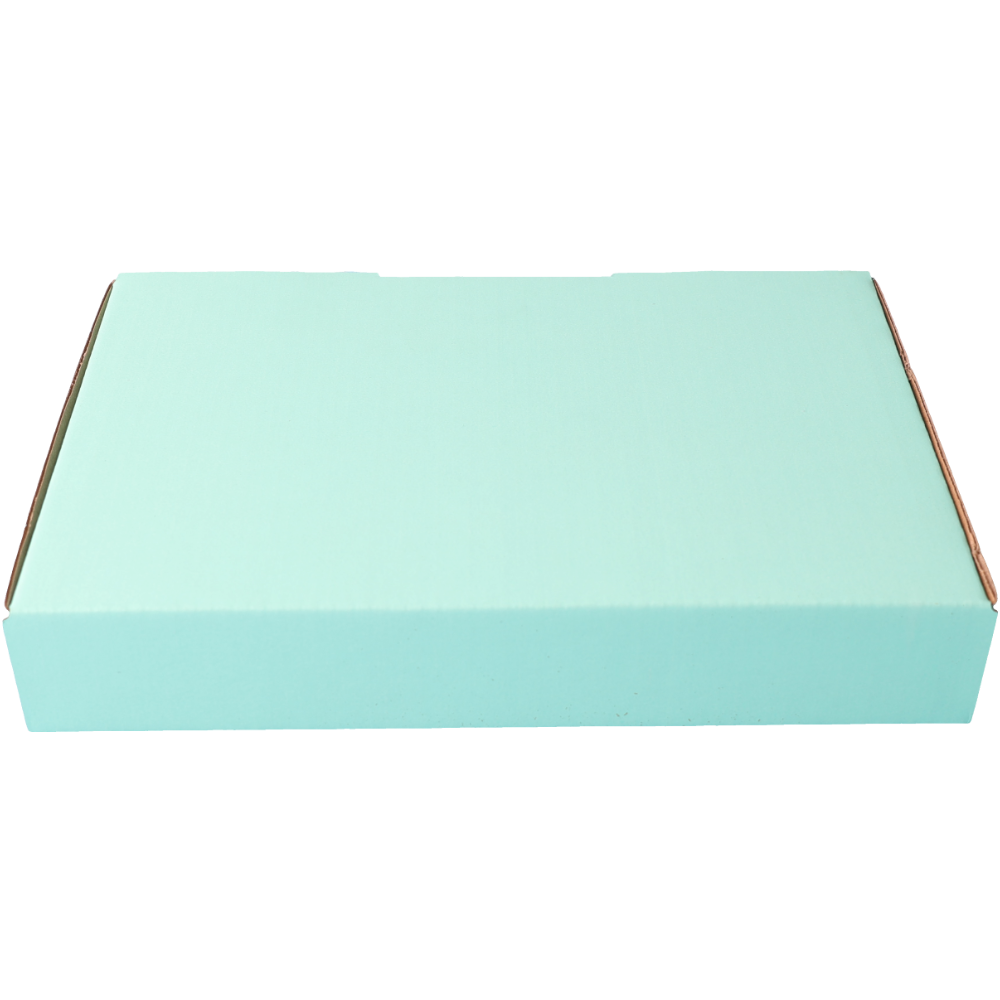 220 x 145 x 35mm Die cut Mint Blue Mailing Box B332