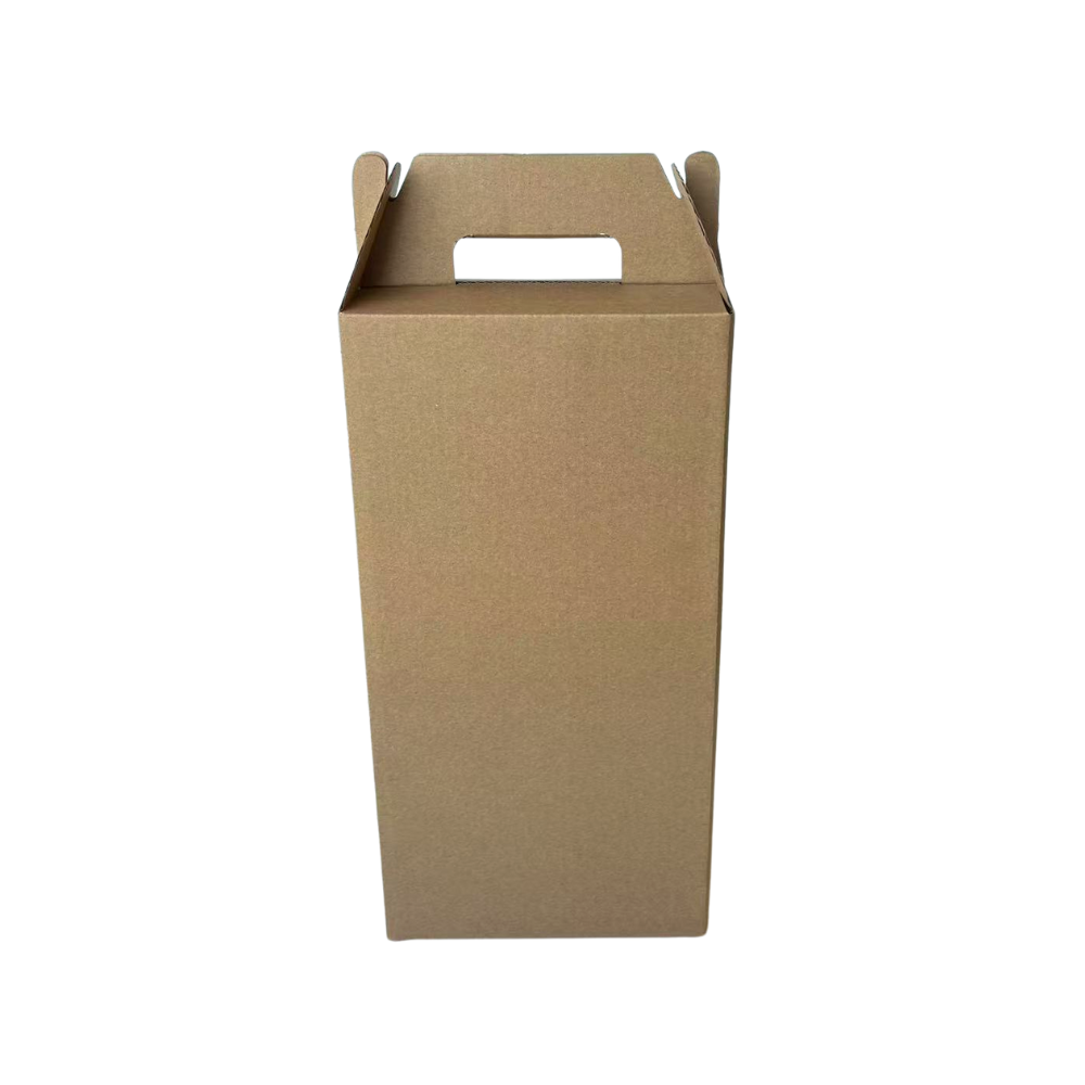 Wine Box Carry Pack front view B439