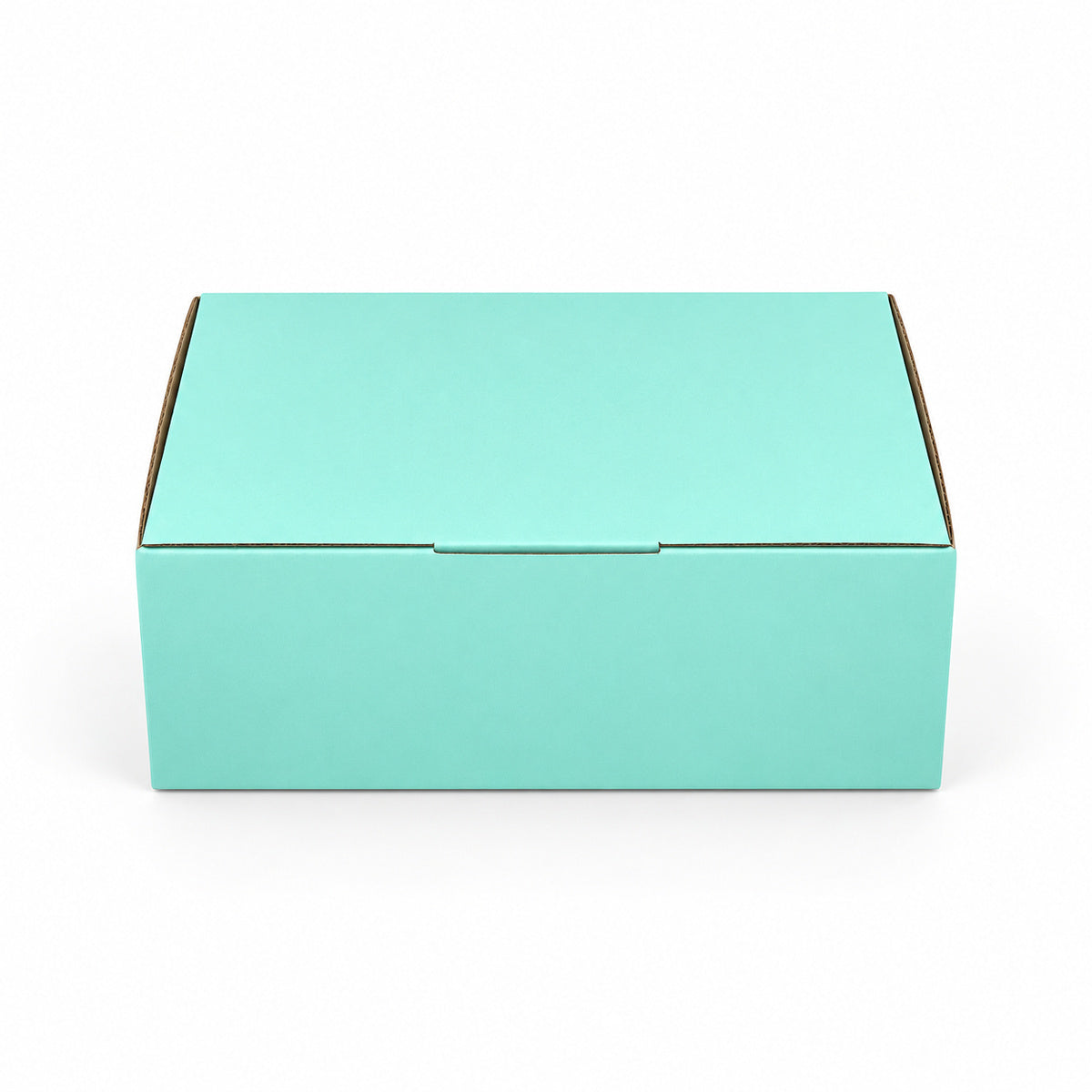 B325 310 x 230 x 105mm mint blue diecut mailing box – closed alternate