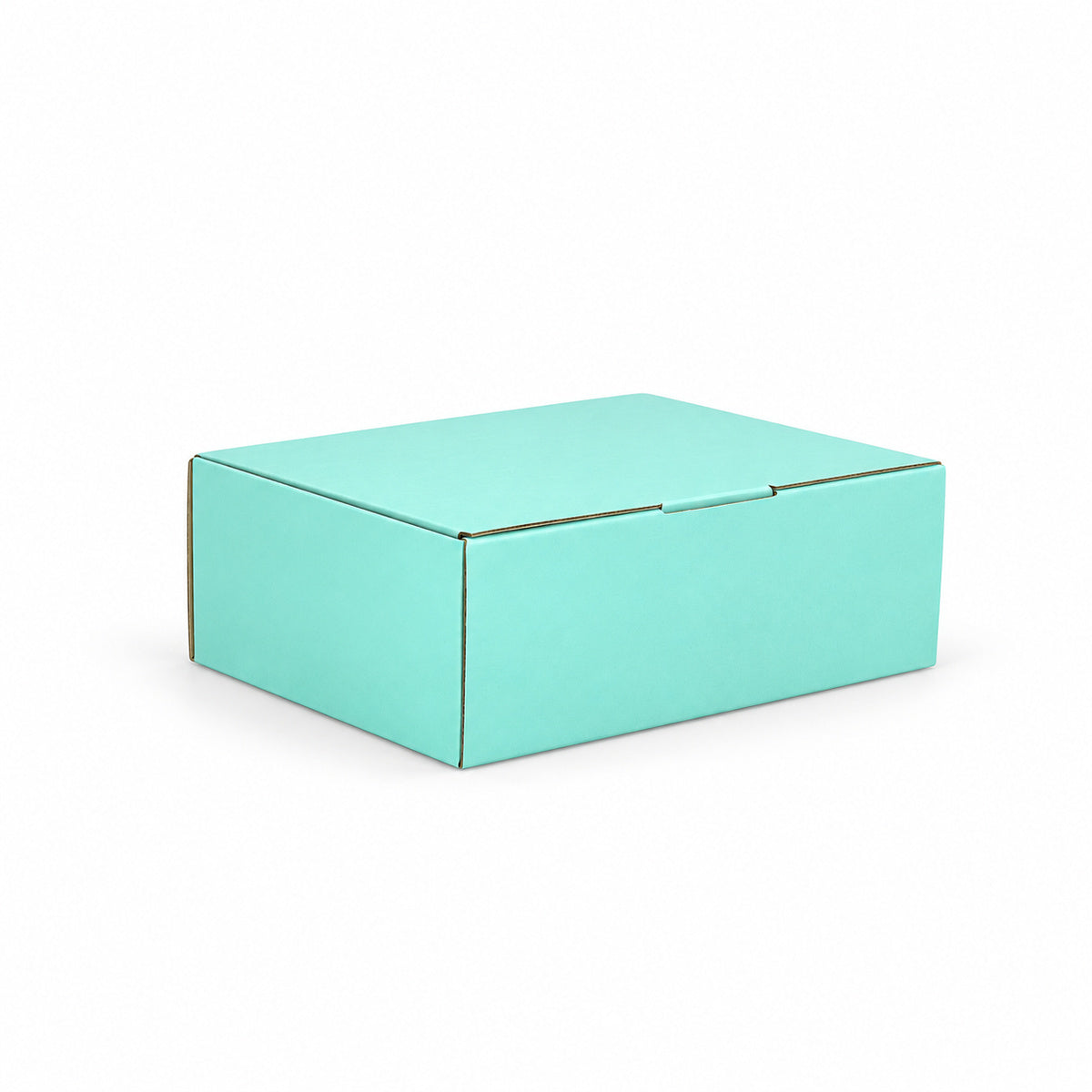 B334 220 x 160 x 77mm mint blue diecut mailing box – closed alternate