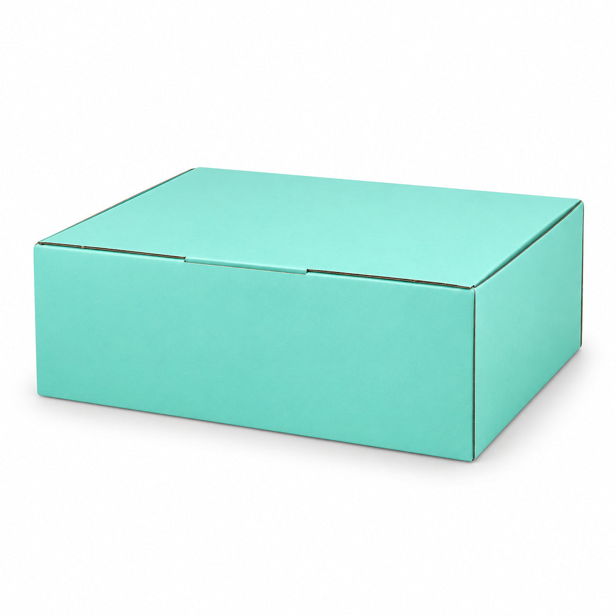B346 250 x 190 x 90mm mint blue diecut mailing box – closed hero