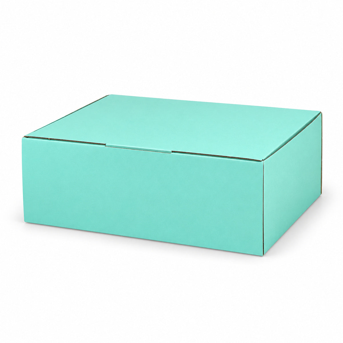 B325 310 x 230 x 105mm mint blue diecut mailing box – variant photo