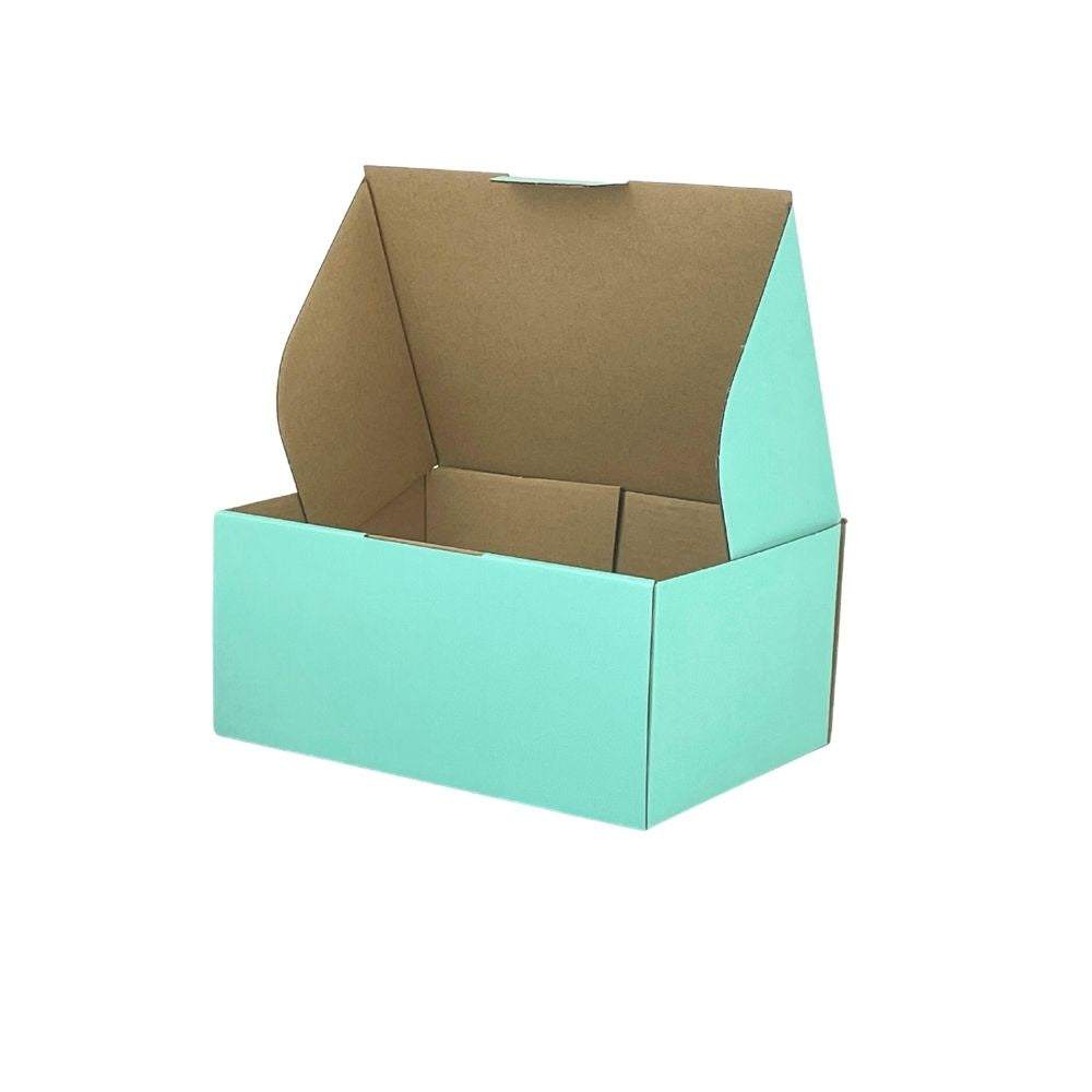 Mint Blue 220 x 160 x 100mm Mailing Box B347