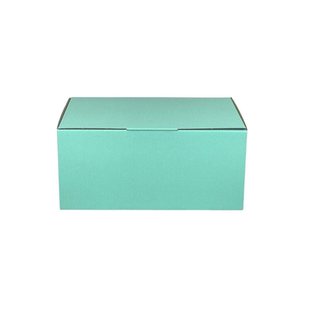 220 x 160 x 100mm Mint Blue Mailing Box