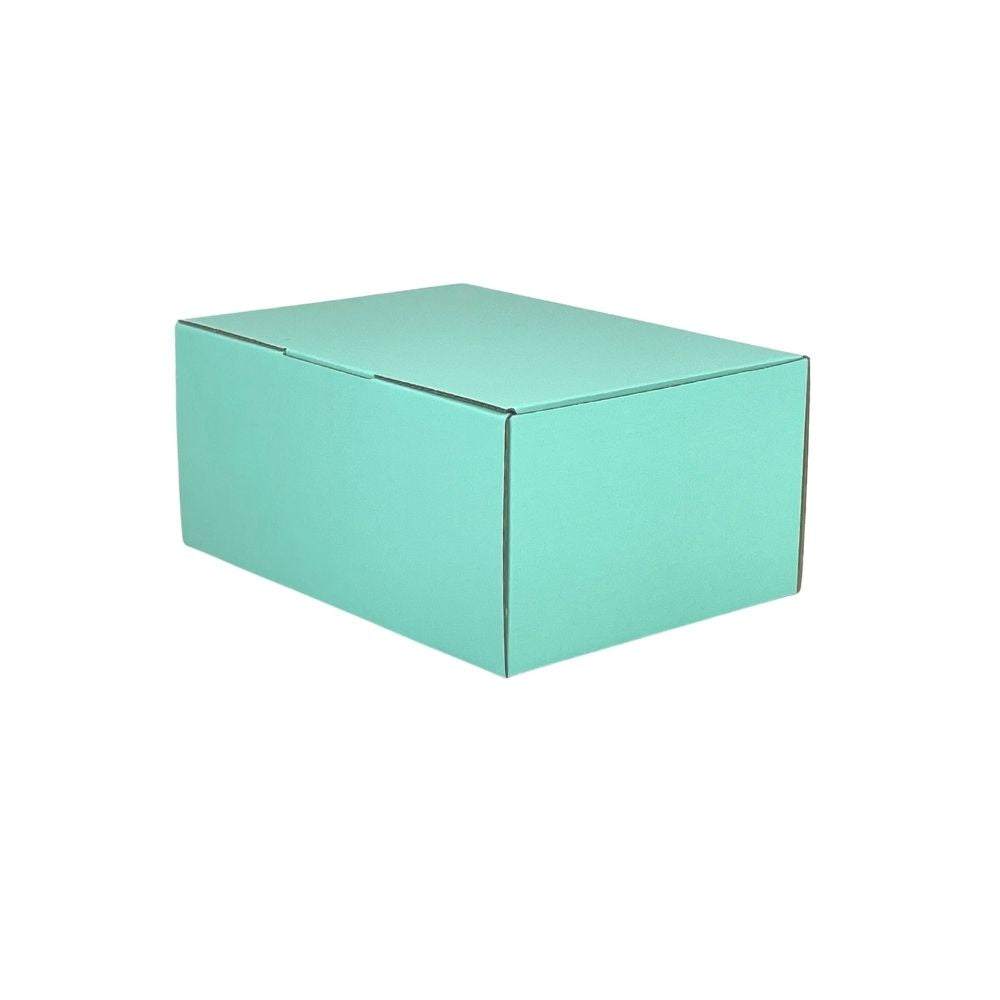 Mint Blue 220 x 160 x 100mm Mailing Box