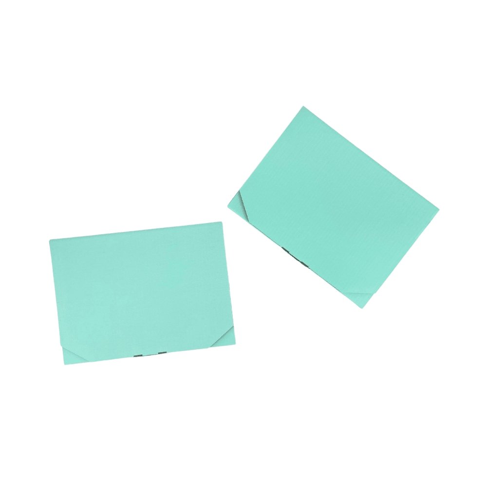 220 x 160 x 16mm Mint Blue Superflat Mailing Box