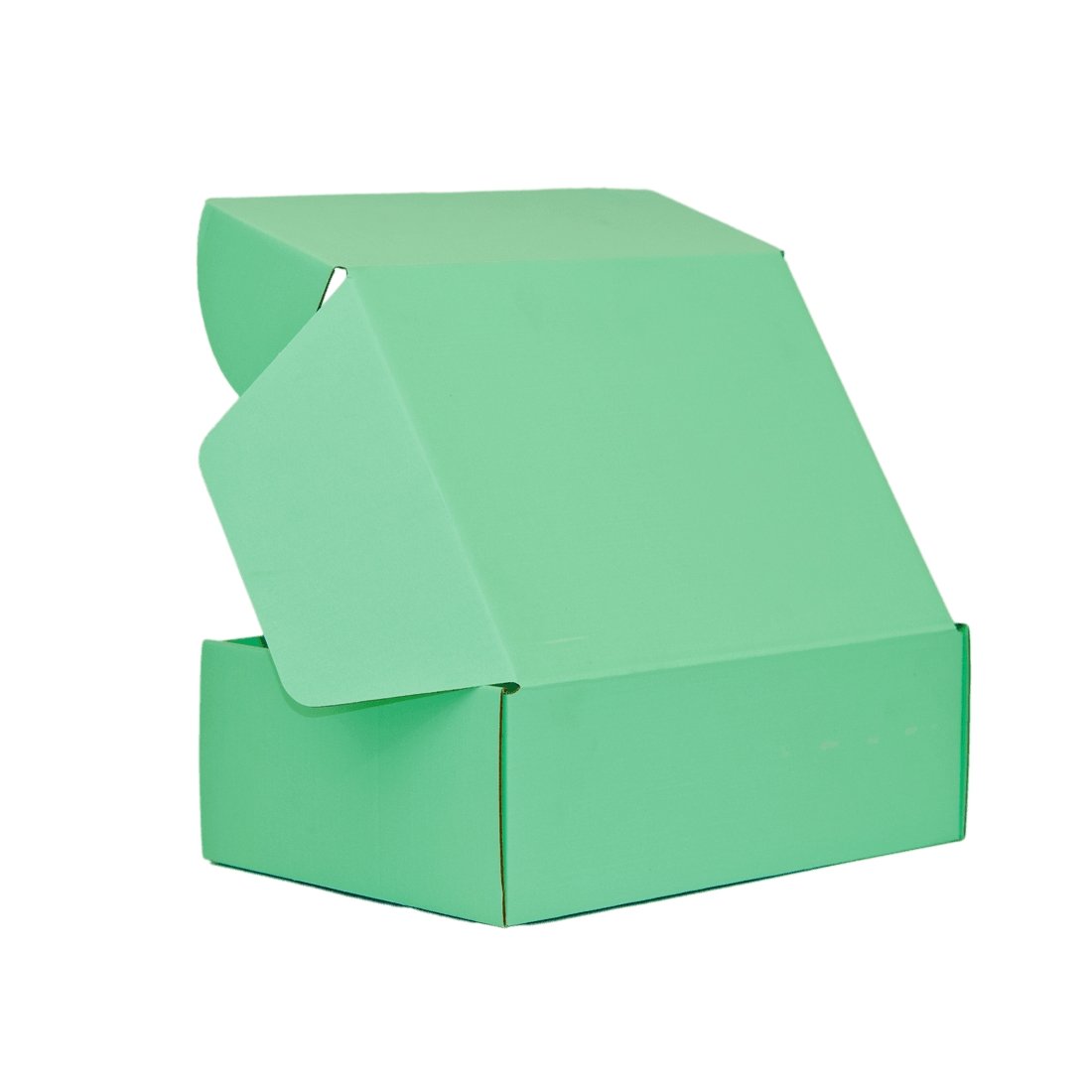 Premium Full Light Green 220 x 160 x 77mm Tuck Mailing Box